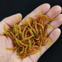 Load image into Gallery viewer, 20PCS-100pcs Lifelike Red Worm Soft Lure Earthworm ice Winter Fishing Silicone Artificial Bait Fishy Shrimp Additive Bass Carp
