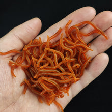 Load image into Gallery viewer, 20PCS-100pcs Lifelike Red Worm Soft Lure Earthworm ice Winter Fishing Silicone Artificial Bait Fishy Shrimp Additive Bass Carp
